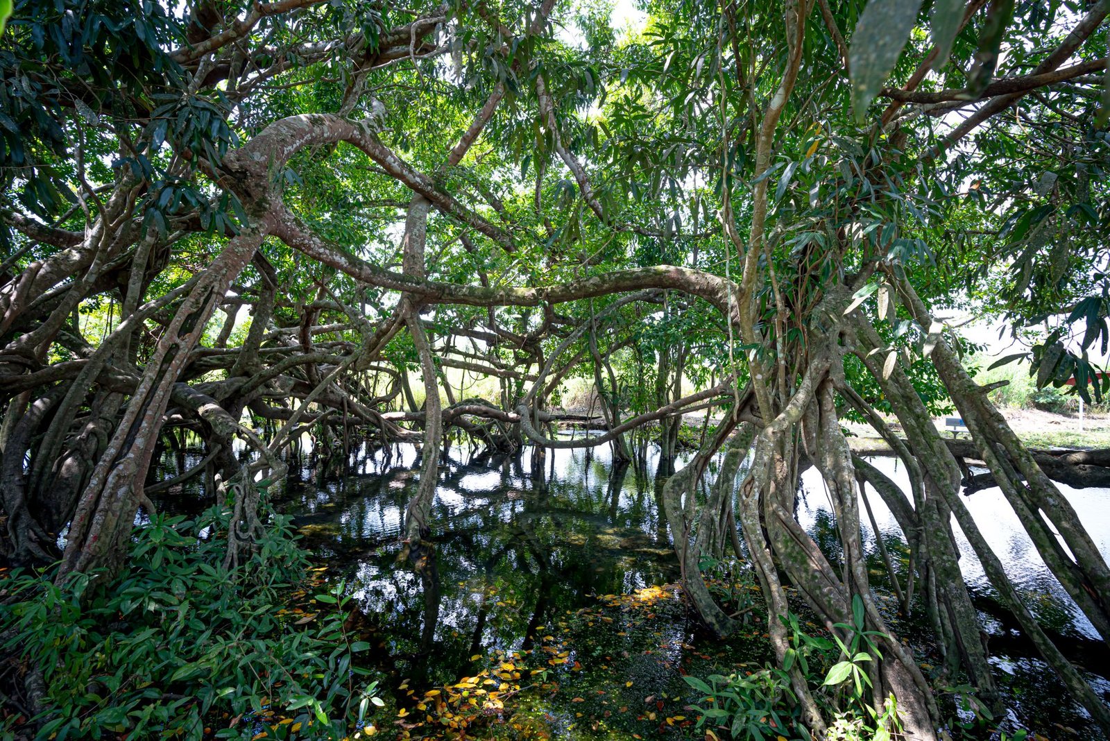 Voyage Bangladesh