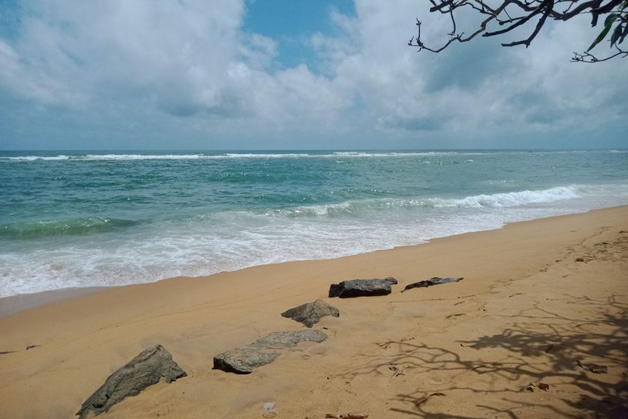 Sri Lanka Private Tour — 8 Days / 7 Nights