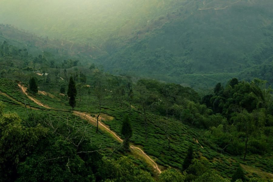Gangtok Tour — 4 Days / 3 Nights — 3-Star (Breakfast & Dinner)